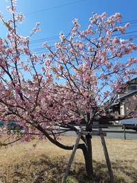 今日は 春分の日！！ 2020/03/20 12:00:00