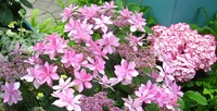 大切な人と一緒に・・・・・・♡ 2014/05/11 18:00:00