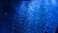 リニア・鉄道館＆名古屋港水族館に行ってきました＾＾ 2015/05/12 18:00:00