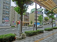 ゆりの木通り雨降っています 2014/08/29 12:17:48