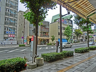 ゆりの木通り雨降っています