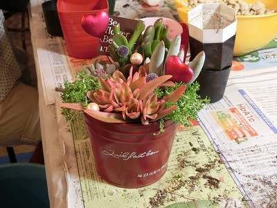多肉寄せ植え講座の様子と今月の予定