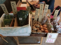 今週の野菜（6/26～） 2015/06/26 16:23:20