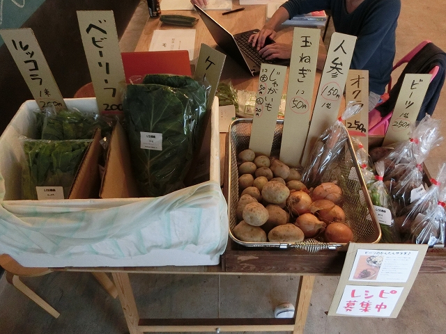 今週の野菜（6/26～）
