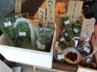 今週の野菜　（7/3～　） 2015/07/03 16:30:55