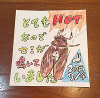 セミが鳴いていた！ 2016/07/04 16:00:22