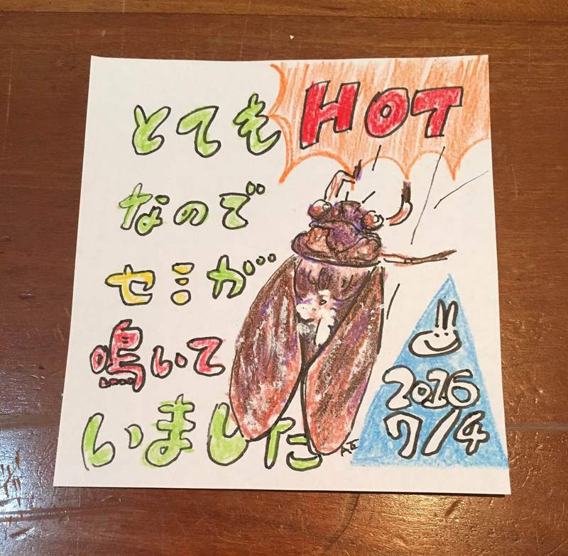 セミが鳴いていた！