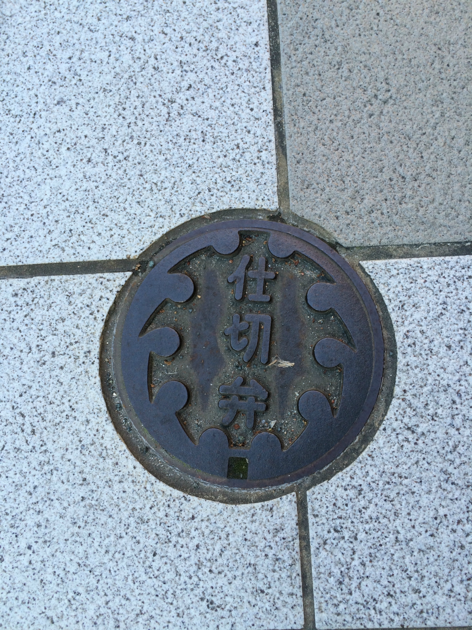 はじめまして！