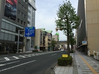 ゆりの木通りを歩いてみました 2015/04/24 17:17:35