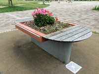 浜松の超芸術!? 2015/05/15 17:48:27