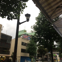 今のゆりの木通り 2015/09/08 17:34:51
