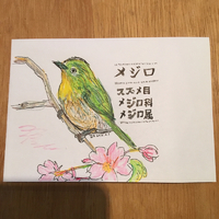 桜が楽しみなのと動物園のイベントが気になる 2016/03/06 16:15:32