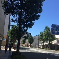 いい秋風がふいてます 2015/09/11 13:09:18