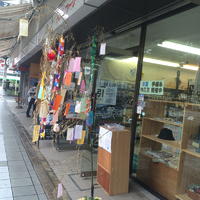 七夕の雨洒涙雨 2015/07/07 15:35:08