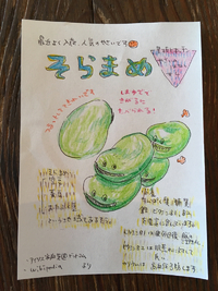 やさいのはなし#4 そらまめ 2016/05/13 13:53:14
