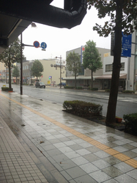 雨風がすごくなってきました 2014/10/13 14:35:19