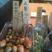 有機野菜の販売始めました 2015/06/21 16:24:01