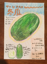 やさいのはなし#9  冬瓜 2016/10/15 15:47:20