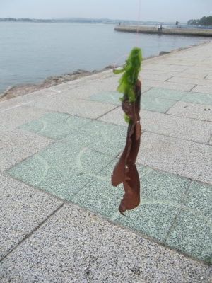 海へGO！！