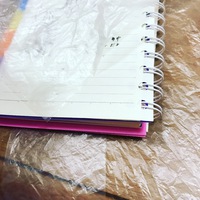 ぎゃー٩( ᐛ )و 2017/06/06 22:15:35