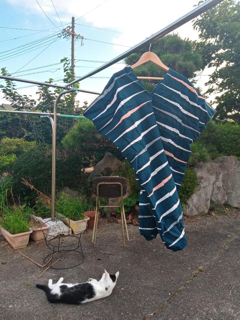 まだまだ暑いですね。。。