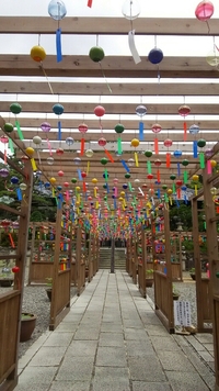 暑くなってきましたね 2019/06/04 23:25:57