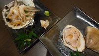 貝専門店　YAKUMOさん　オープン！