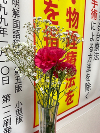 今日のお花♪