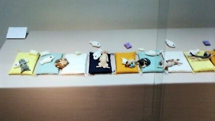 昨日行ってきた木彫展