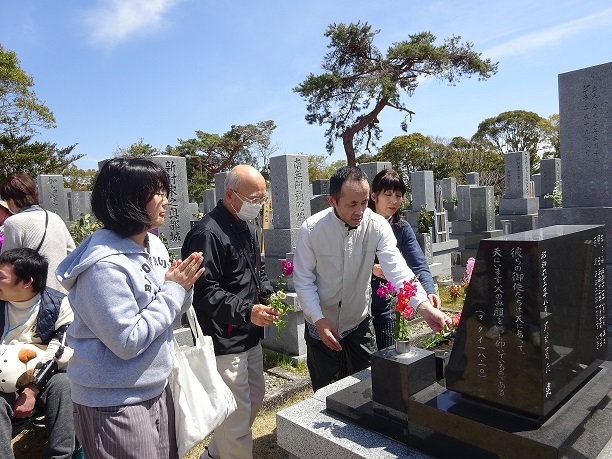 桜　満開　お花見行ってきました！