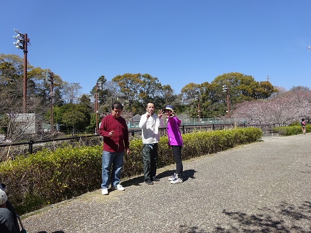 桜　満開　お花見行ってきました！