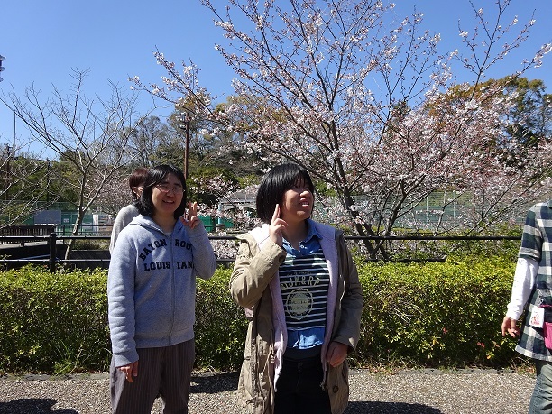 桜　満開　お花見行ってきました！