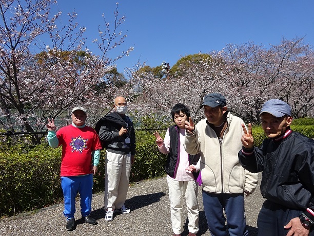 桜　満開　お花見行ってきました！