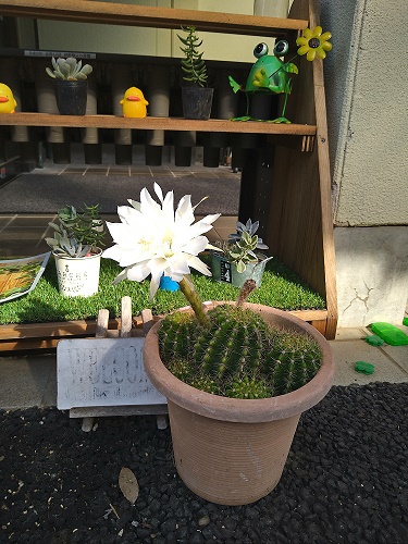 秋の訪れ