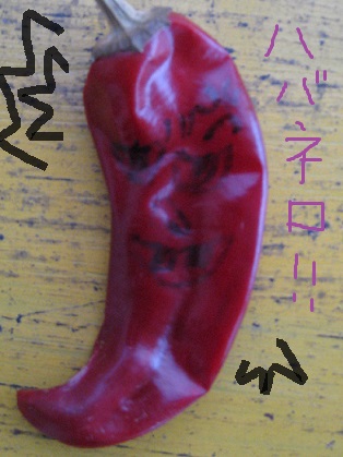 ハバネロ！！