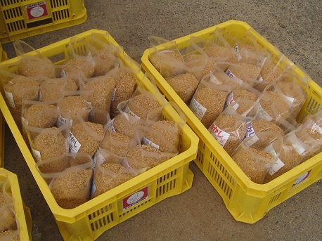 生ごみを有機肥料に！！