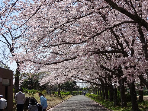 ４月ももう終わりです。。。早すぎ！！