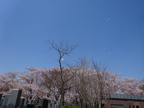 ４月ももう終わりです。。。早すぎ！！
