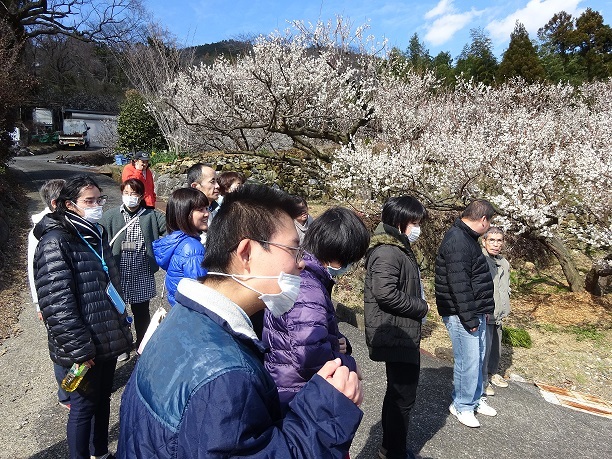 杉山梅園の梅見にご招待されました！