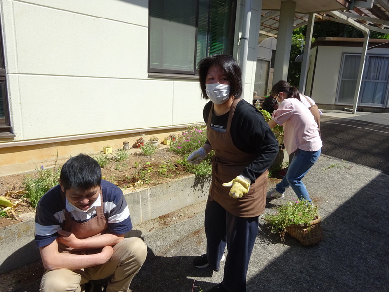 花壇の手入れ