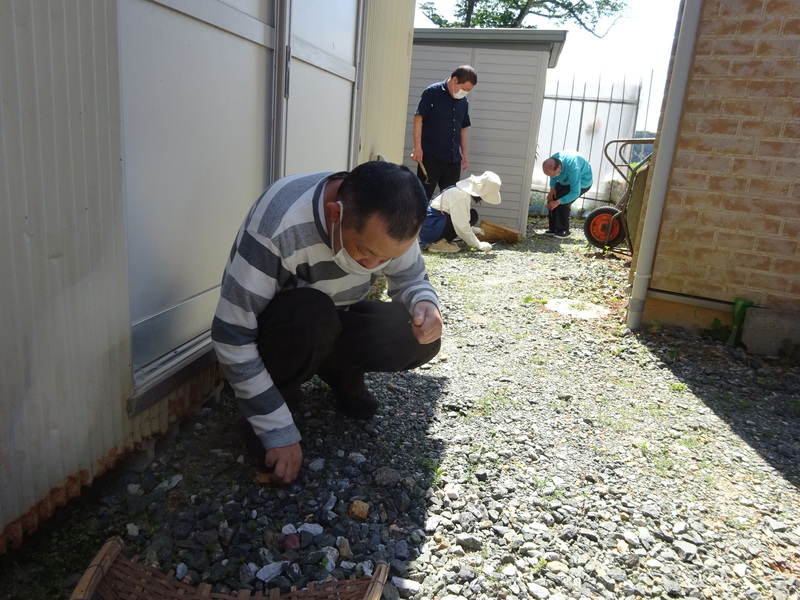 花壇の手入れ