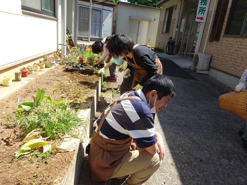 花壇の手入れ