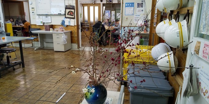 梅たより