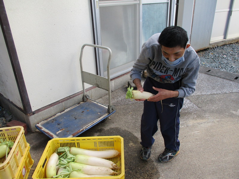 冬のおくりもの