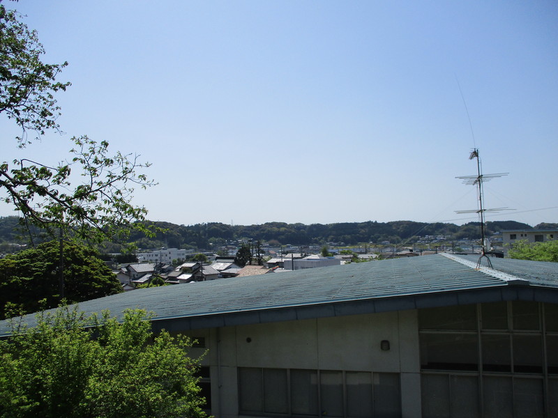 ひまわりの花が咲いています(*▽)