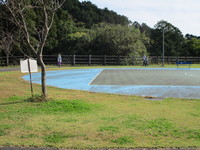 いちょうの木の様子です（お散歩編） 2021/11/08 17:20:32