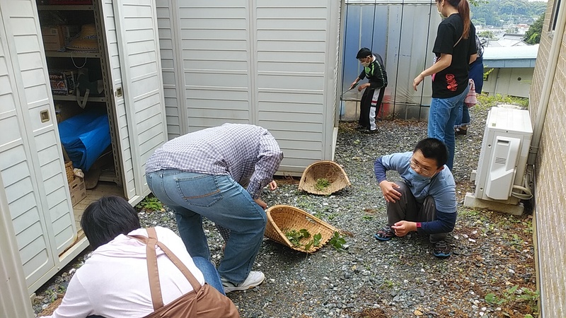 草取りの日