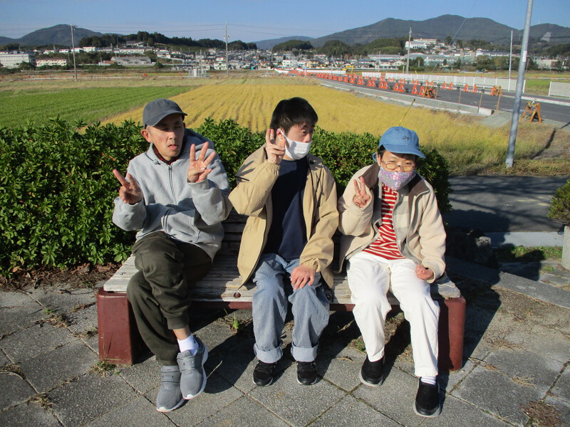 いちょうの木の様子