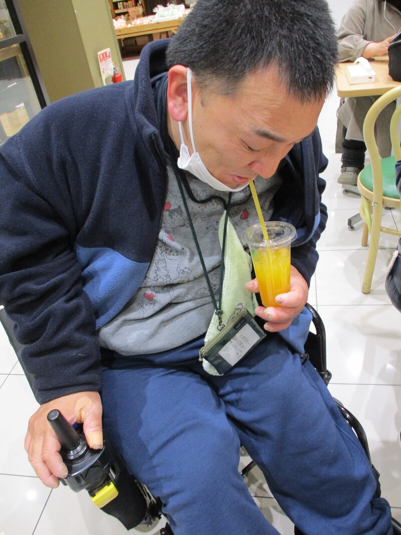 いちょうの木の様子