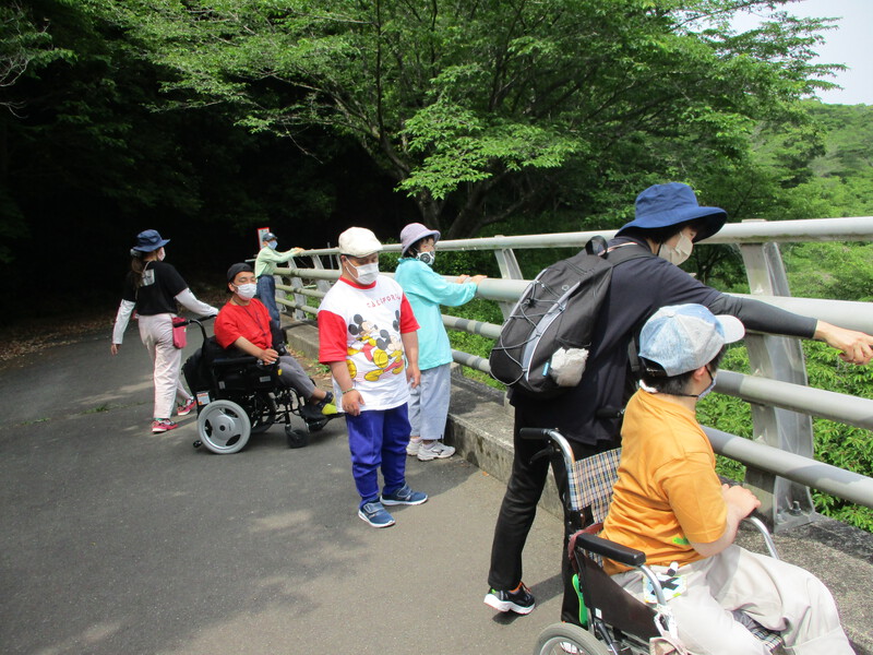 いちょうの木の様子